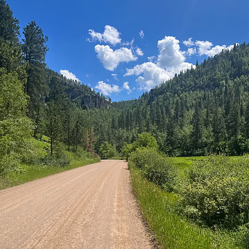 Photo of gravel road in the Black Hills