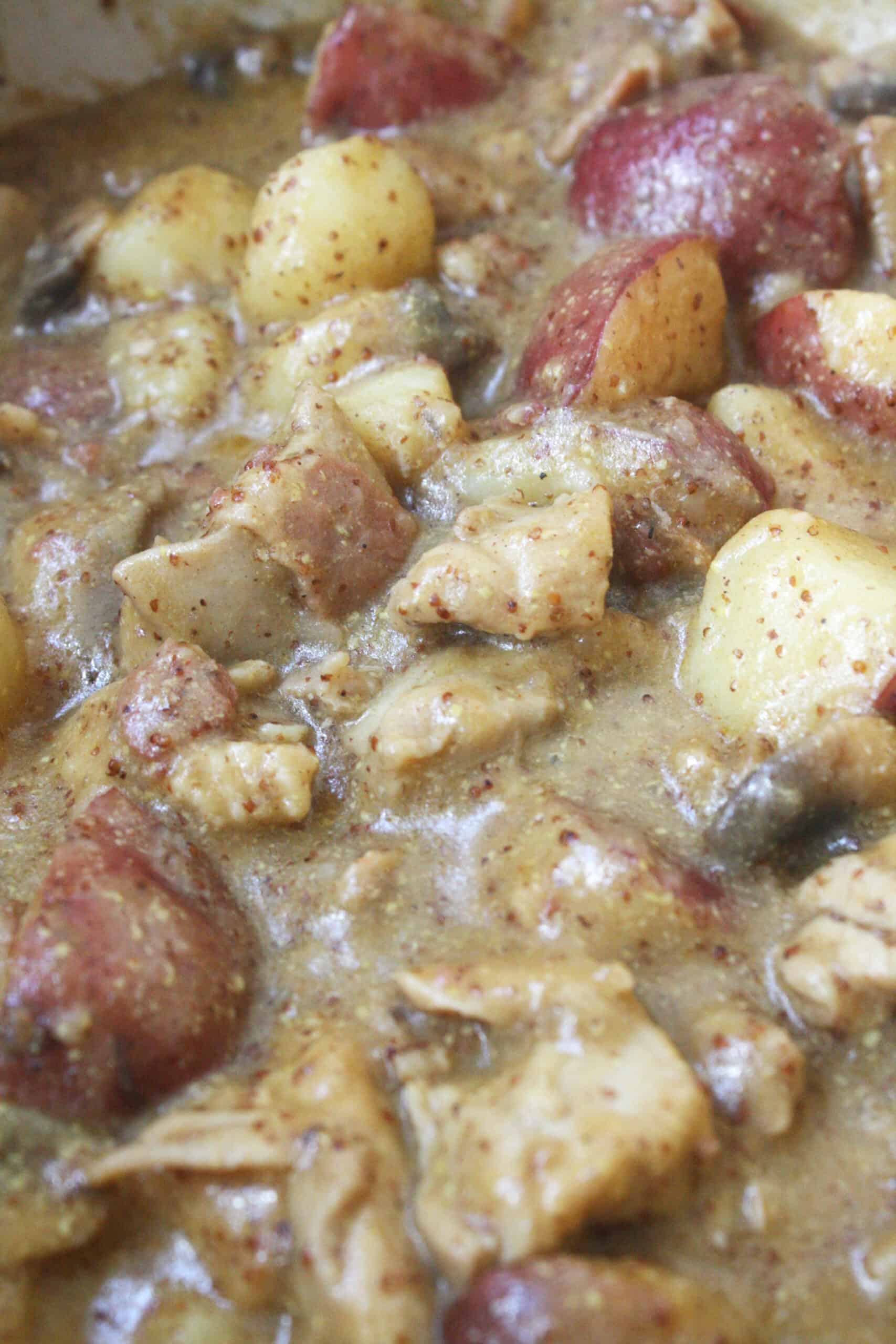 Dutch Oven Smothered Chicken and Potatoes for an Easy Weeknight Dinner - Aimee  Burmester