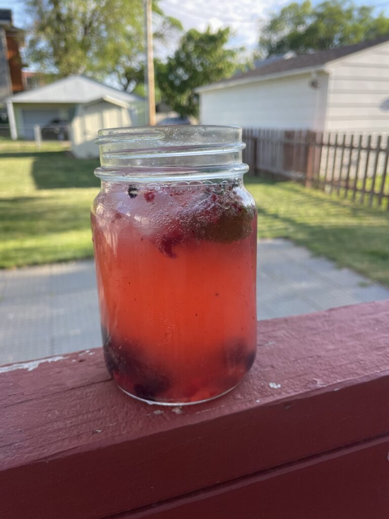 Berry Kombucha Moscow Mule