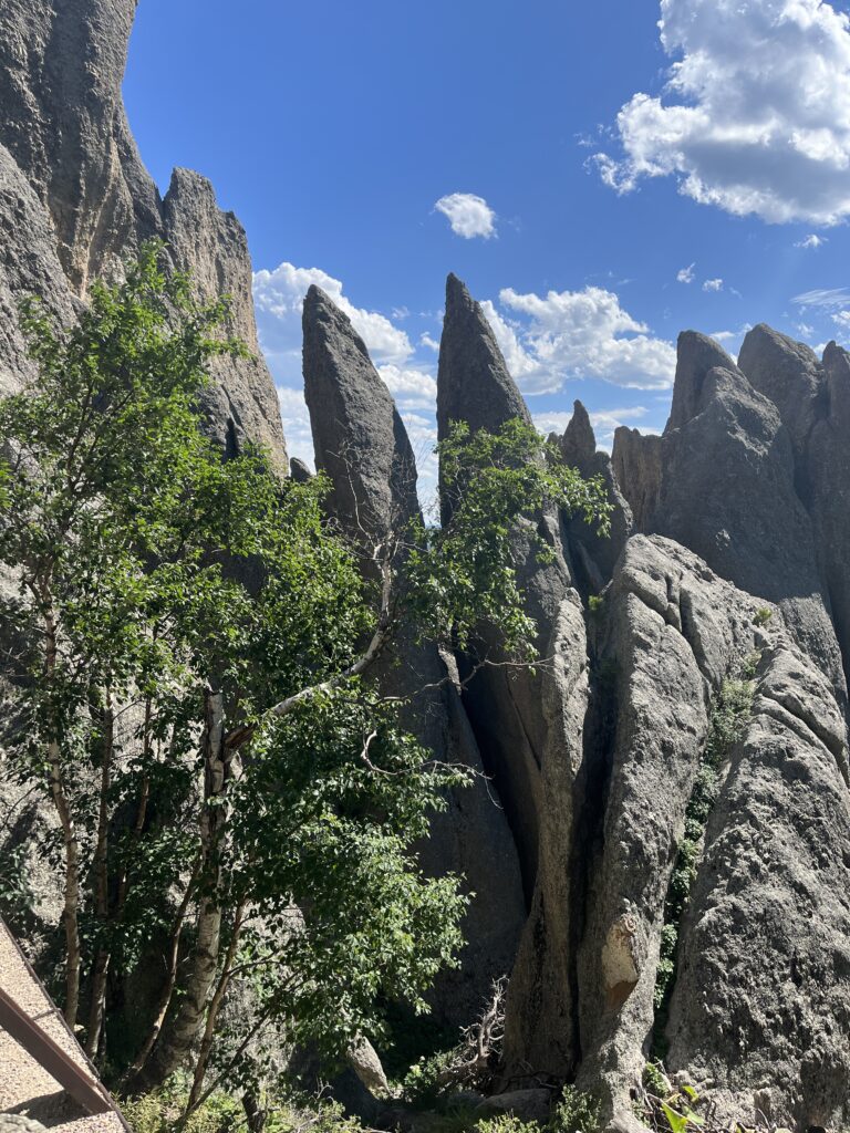 Cathedral Spires in Black Hills South Dakota