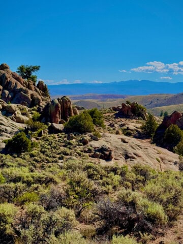 Rocks in Hartman Rocks Recreation area looking north, in Gunnison, Colorado